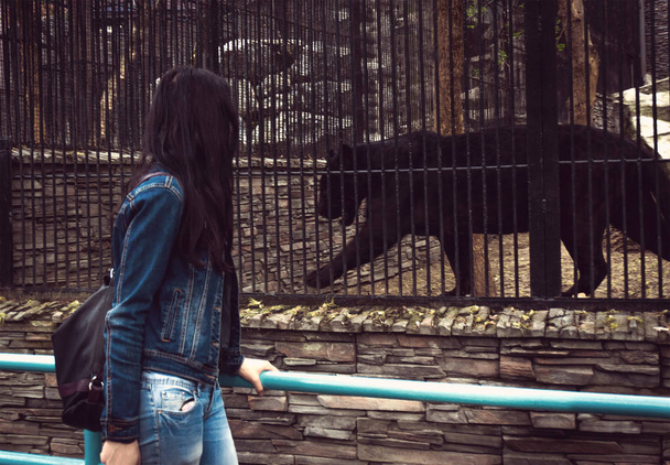 Dziewczyna idzie przez zoo i ogląda zwierzęta w klatkach - Zdjęcie, obraz