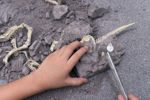 kid excavating dinosaur bones from a rock - Photo, Image