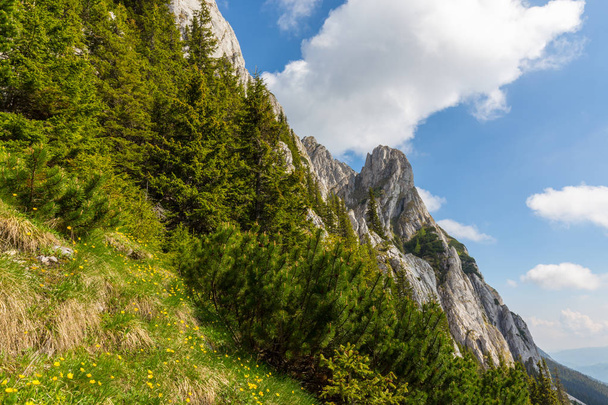 Vuoristomaisemat Transilvanian Alpeilla kesällä sumupilvillä
 - Valokuva, kuva