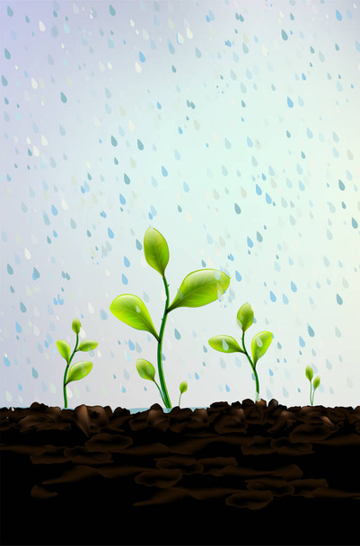 Rain falls on small green plants sprouting from soil - Vector, Image