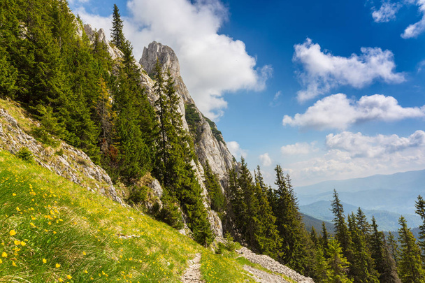 Горные пейзажи в Трансильванских Альпах летом с туманом
 - Фото, изображение