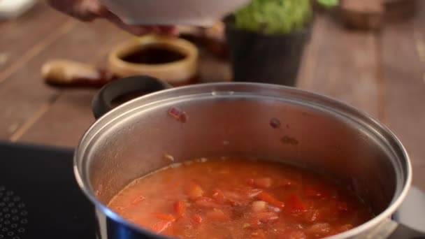 Tomatensuppe beim Kochen - Filmmaterial, Video