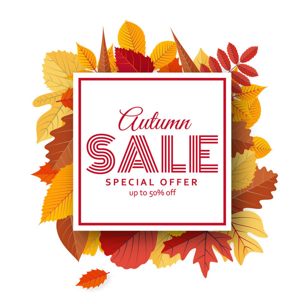 Herbst Verkauf Hintergrundvorlage mit hellen Blättern - Vektor, Bild