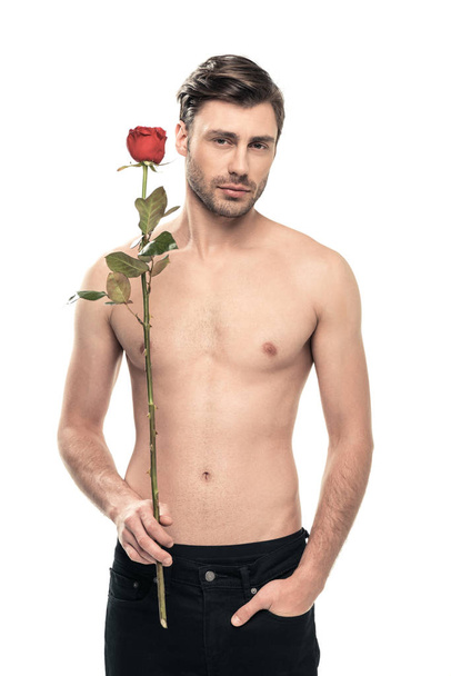 handsome man with rose flower - 写真・画像
