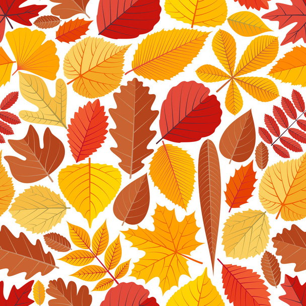 Seamless pattern with autumn tree leaves - Wektor, obraz