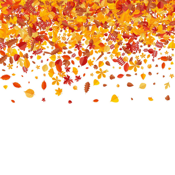 Осенний узор с яркими листьями деревьев
 - Вектор,изображение