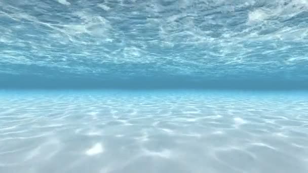 Duiken onder water - Video