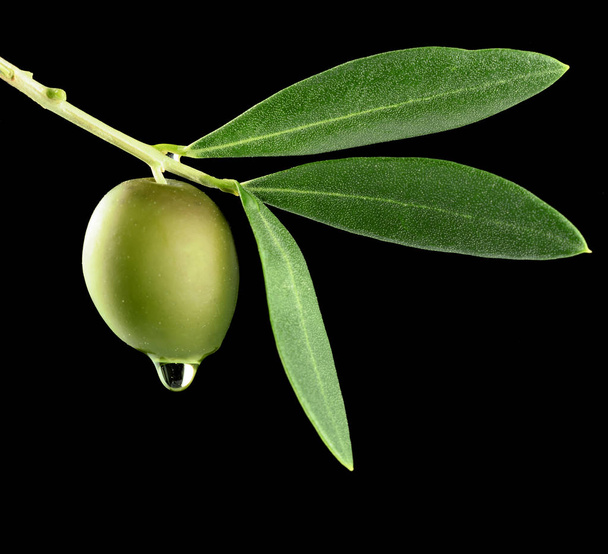 aceite de oliva goteando
 - Foto, imagen
