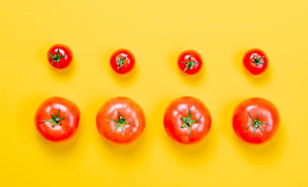 Tuoreet kypsät tomaatit  - Valokuva, kuva