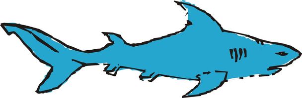 サメのベクトル図 - ベクター画像