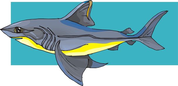Ilustración de vectores de tiburón
 - Vector, Imagen