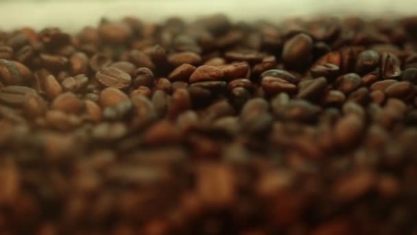 chicchi di caffè torrefatto - Filmati, video
