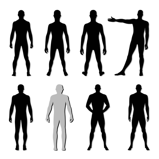 Набір фігур для чоловіків моди
 - Вектор, зображення