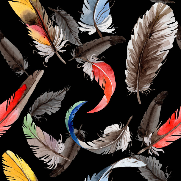 Akvarelu ptačí pírko vzor z křídla . - Fotografie, Obrázek