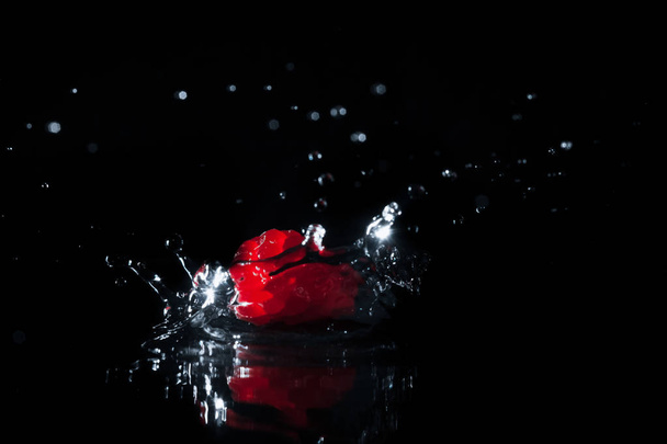 Ripe raspberry falling in water with splash isolated on black - Foto, Imagem