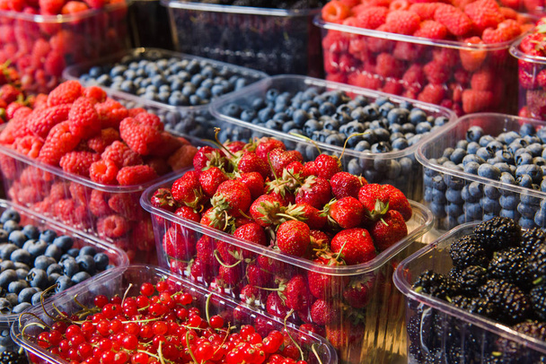 Trays of fresh berries on display at local market. - Zdjęcie, obraz