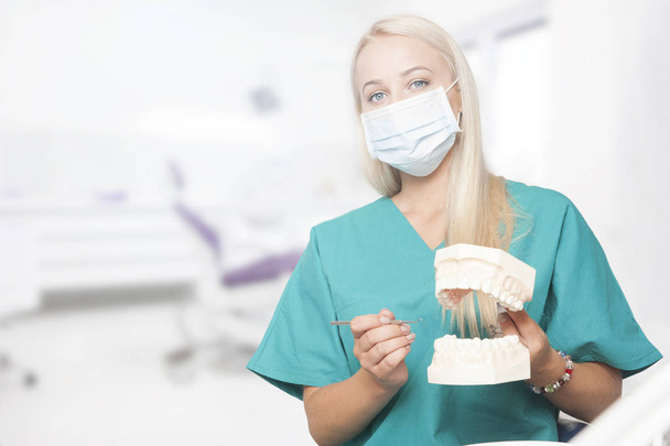 A portrait of a female dentist in a clinic - Foto, Imagen