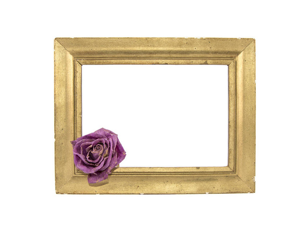 gedroogde paarse roos in een gouden frame  - Foto, afbeelding