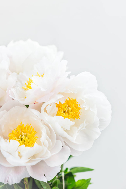 Gyönyörű csokor fehér kínai pünkösdi rózsa  - Fotó, kép