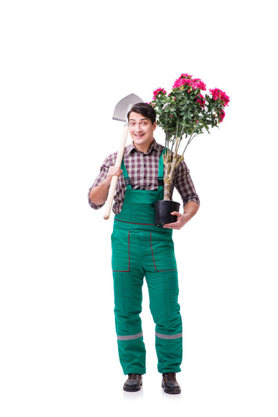 Hombre joven jardinero aislado en blanco - Foto, Imagen