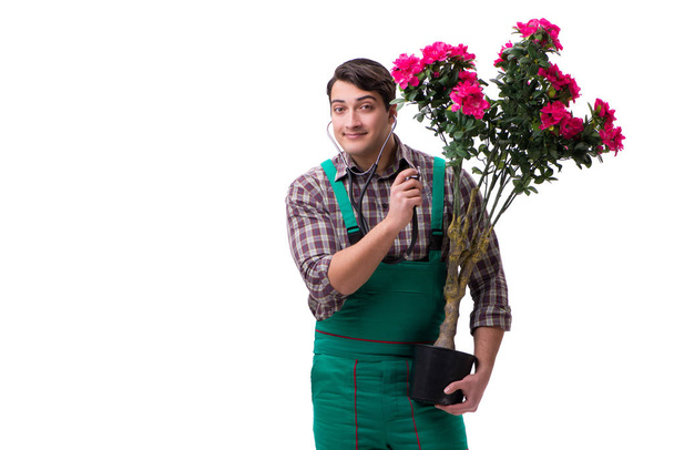 Hombre joven jardinero aislado en blanco - Foto, Imagen
