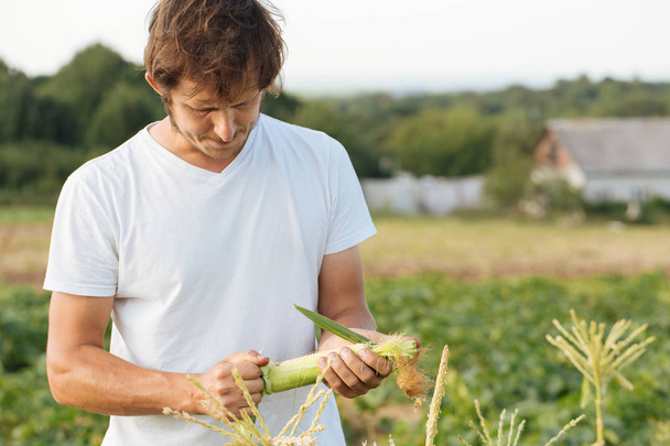 Farmer inspecting corn crop at field of organic eco farm - Zdjęcie, obraz