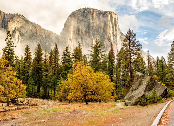 Yosemite Nemzeti Park  - Fotó, kép