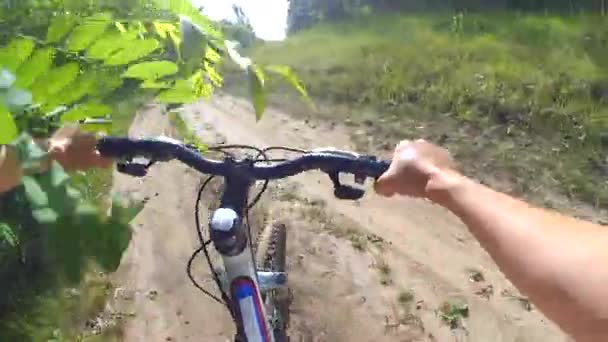 A man on a bicycle rides on a dirt road through the forest - Footage, Video