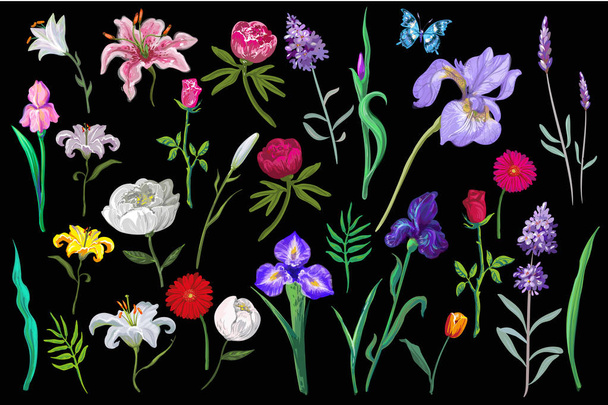 Vector big amazing set of lovely flowers in pastel colors on black background - Vecteur, image