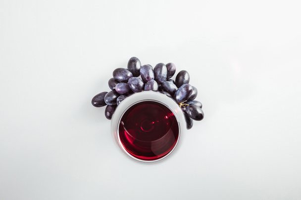 κόκκινο κρασί σε ποτήρι και σταφύλια - Φωτογραφία, εικόνα