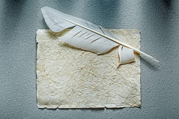 Medieval crumpled paper sheet feather on grey surface - Photo, image