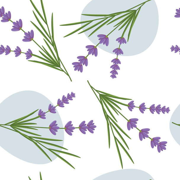 lavender  seamless pattern.  - Вектор,изображение