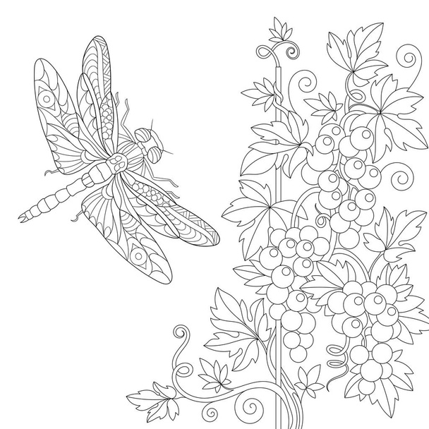 Zentangle stylized dragonfly and grape vine - Vektor, obrázek
