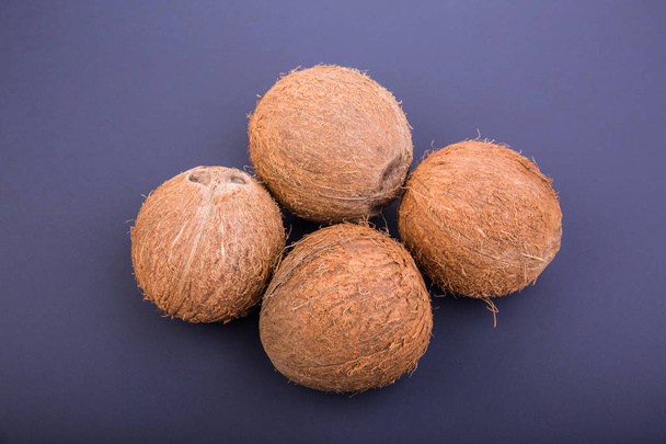 Close-up of four tropical coconuts on a dark purple background. Delicious summer fruits. Nutritious exotic nuts. - Valokuva, kuva