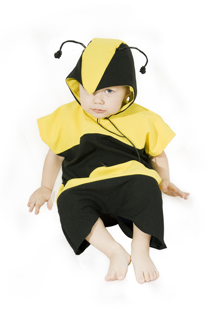 Honey Bee - Foto, afbeelding