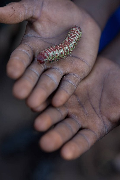 African child's hands holding a worm. - Photo, Image