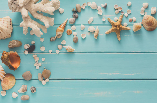 Seashells on blue wood, sea vacation background - Fotografie, Obrázek