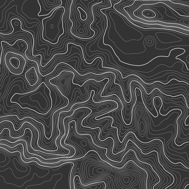 Topographic map background with space for copy . Line topography map contour background , geographic grid abstract vector illustration . Mountain hiking trail over terrain . - Vektor, Bild