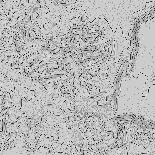 Topografische kaart achtergrond met ruimte voor kopie. Lijntopografie kaartcontourachtergrond, geografisch raster abstracte vectorillustratie. Bergwandelpad over terrein . - Vector, afbeelding