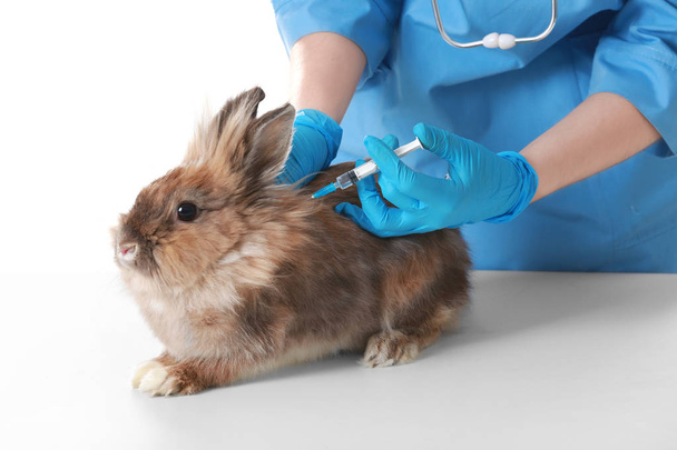 Veterinarian vaccinating rabbit  - Foto, Bild