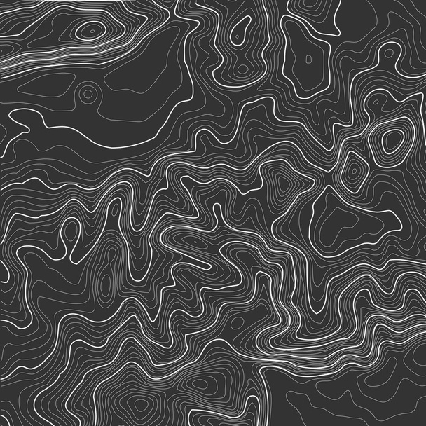 Topographic map background with space for copy . Line topography map contour background , geographic grid abstract vector illustration . Mountain hiking trail over terrain . - Vector, afbeelding