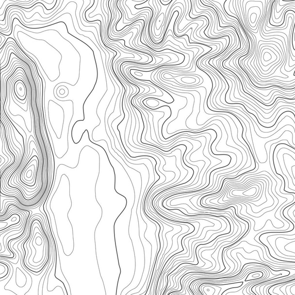 Topographic map background with space for copy . Line topography map contour background , geographic grid abstract vector illustration . Mountain hiking trail over terrain . - Vector, Image