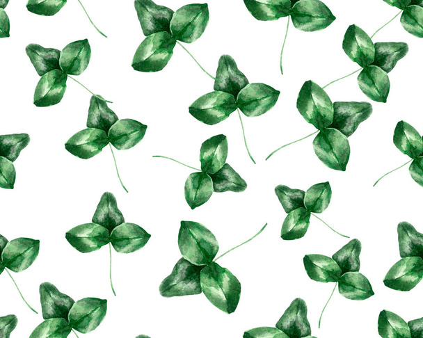 Green Clover Leaves Pattern  - 写真・画像