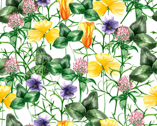 Variety Of Watercolor Flowers  - Valokuva, kuva