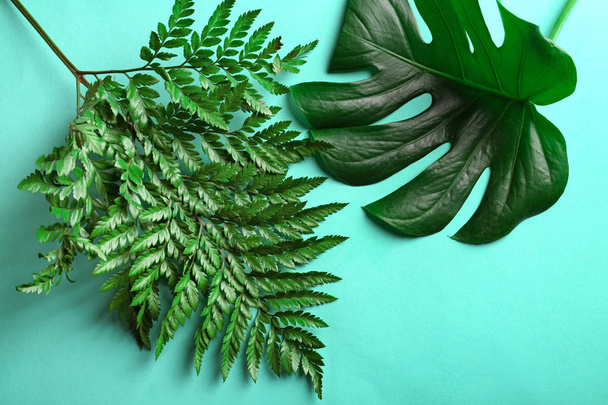 Tropical leaves close up - Foto, Imagem