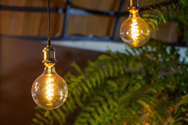Lâmpadas incandescentes com árvore no fundo. Lâmpada Edison
. - Foto, Imagem
