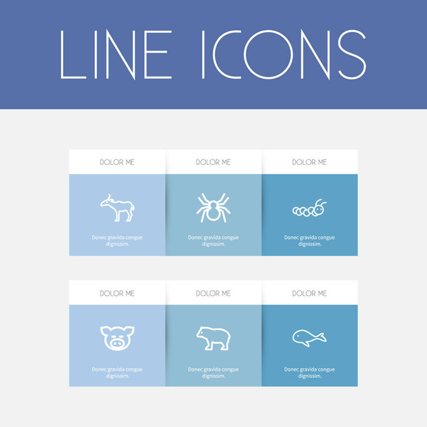 Set Of 6 Editable Animal Outline Icons. Includes Symbols Such As Cachalot, Spinner, Antelope And More. Can Be Used For Web, Mobile, UI And Infographic Design. - Vector, Image