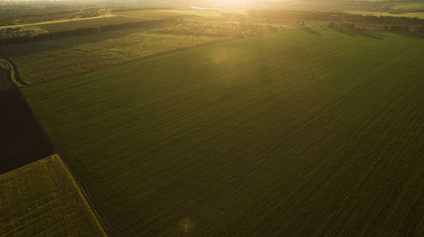 Аэрофотосъемка поля на закате
 - Фото, изображение