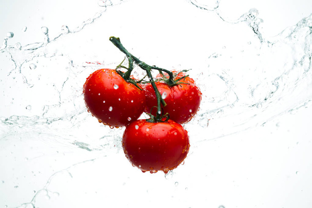 Red tomatoes on a branch with drops of water on a white backgrou - Foto, imagen