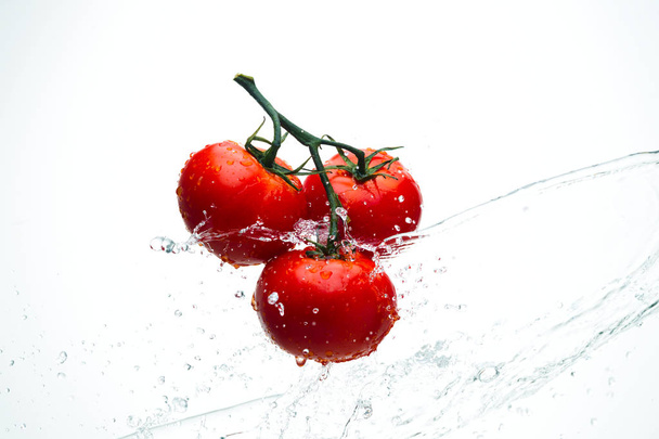 Tomatoes red on a green branch in streams of water, white background, studio light - Fotoğraf, Görsel